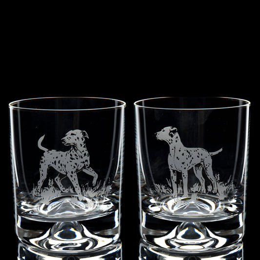 Dalmatian Dog Whiskey Tumbler Glass - Hand Etched/Engraved Gift