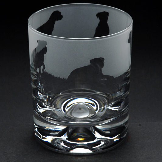 Border Terrier Dog Whiskey Tumbler Glass - Hand Etched/Engraved Gift