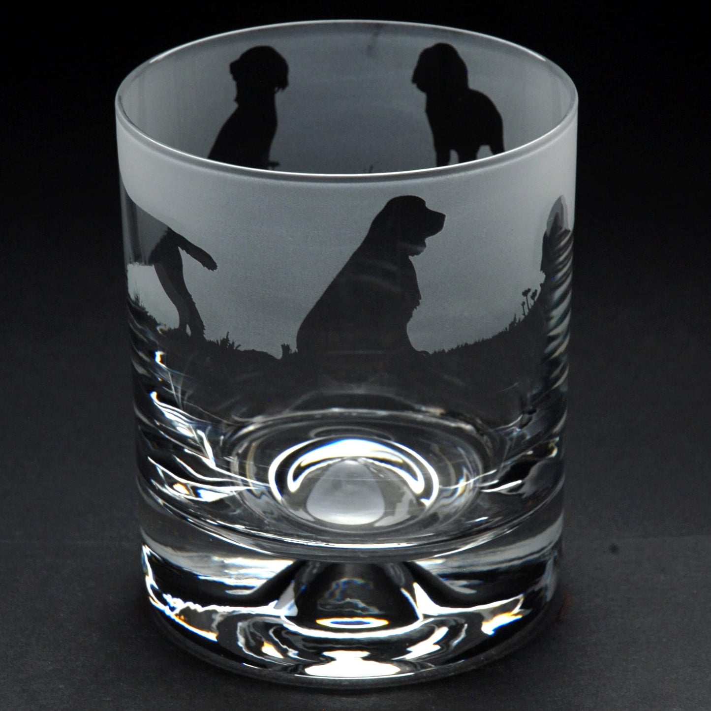 Springer Spaniel Dog Whiskey Tumbler Glass - Hand Etched/Engraved Gift