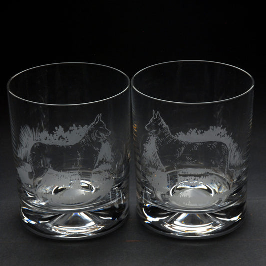 Belgian Shepherd Dog Whiskey Tumbler Glass - Hand Etched/Engraved Gift