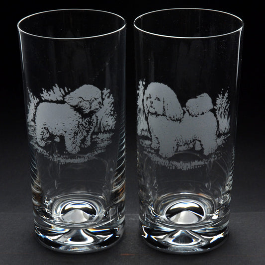 Bichon Frise Dog Highball Glass - Hand Etched/Engraved Gift