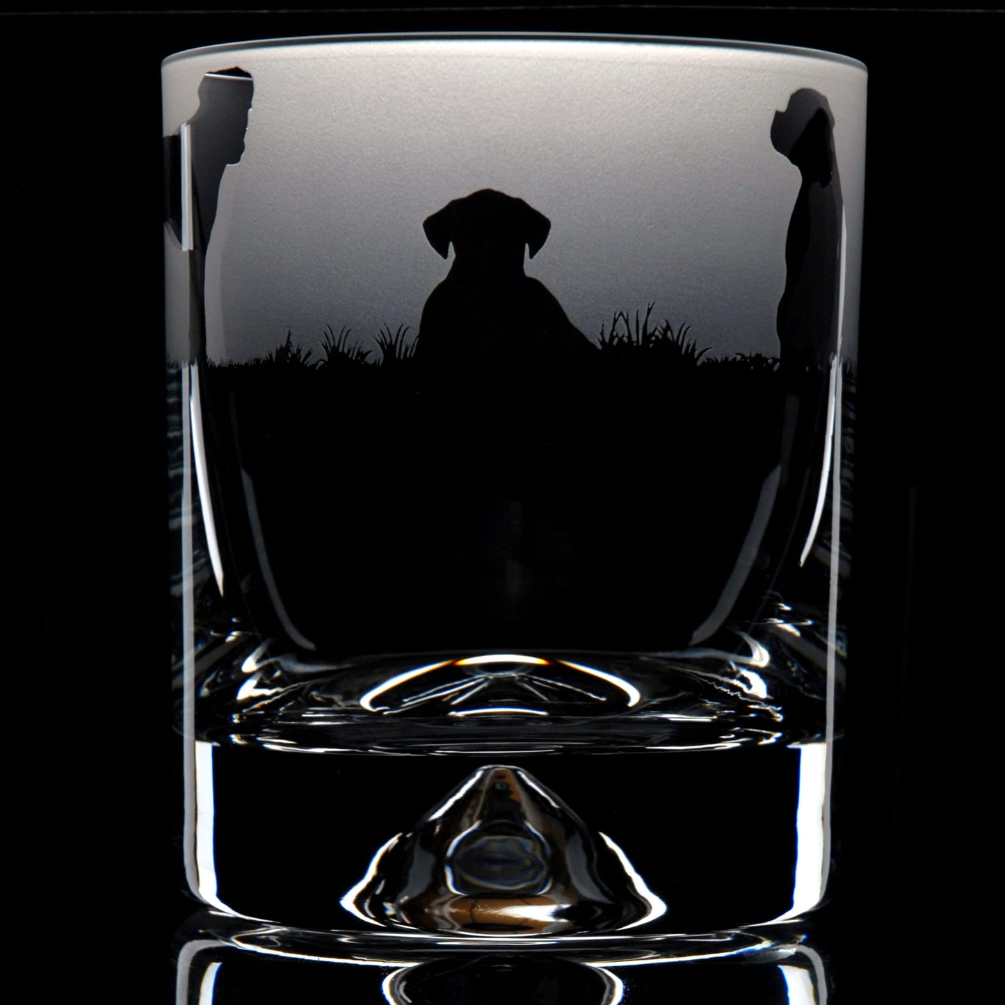 Boxer Dog Whiskey Tumbler Glass - Hand Etched/Engraved Gift