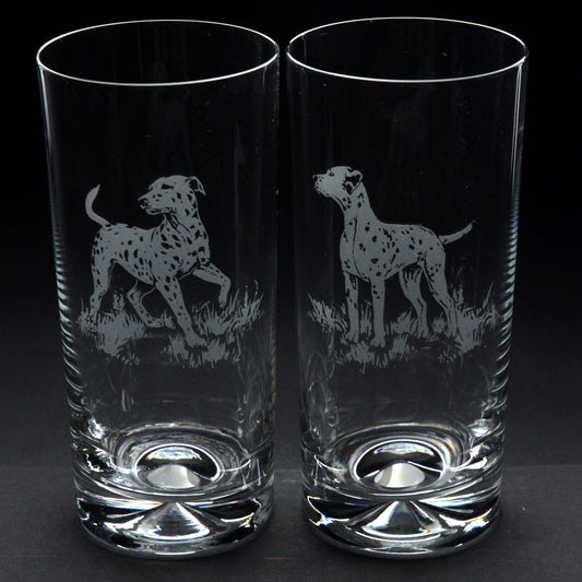 Dalmatian Dog Highball Glass - Hand Etched/Engraved Gift