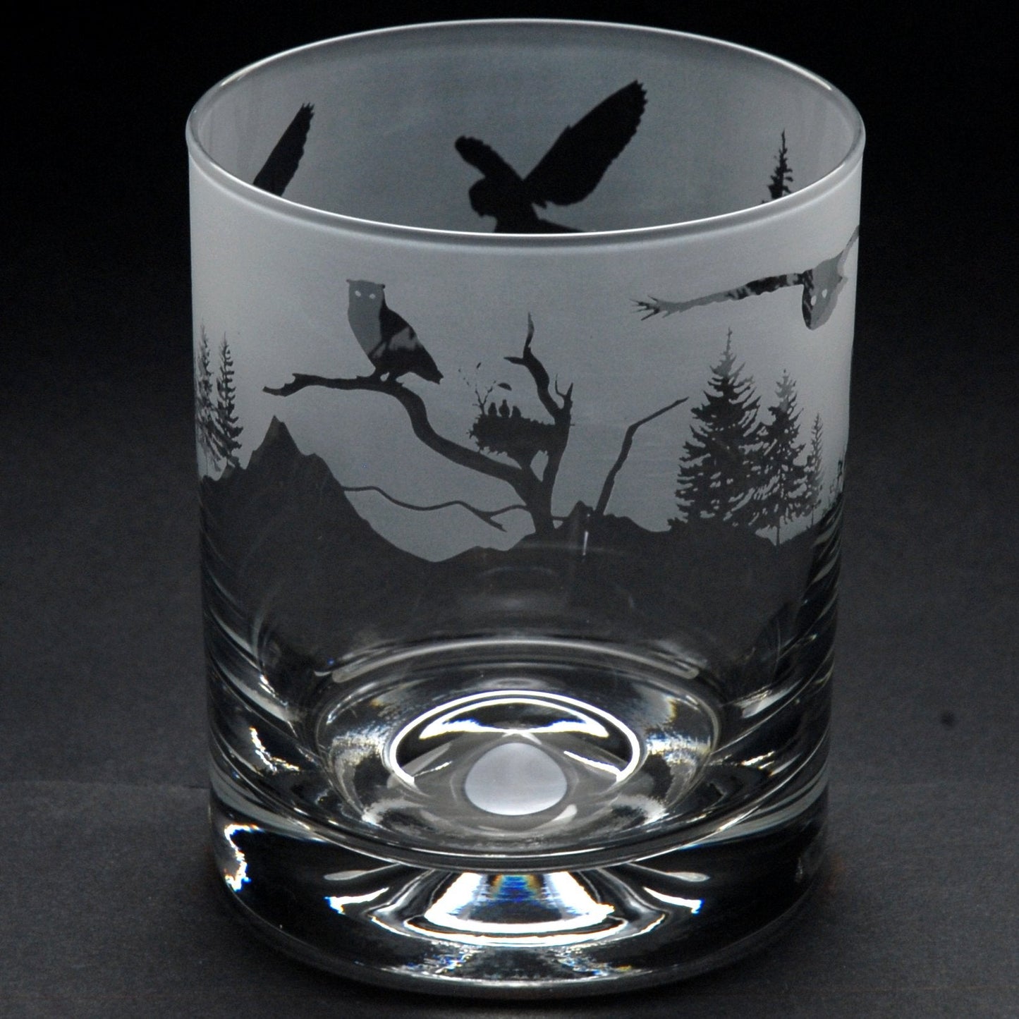 Owl Whiskey Tumbler Glass - Hand Etched/Engraved Gift