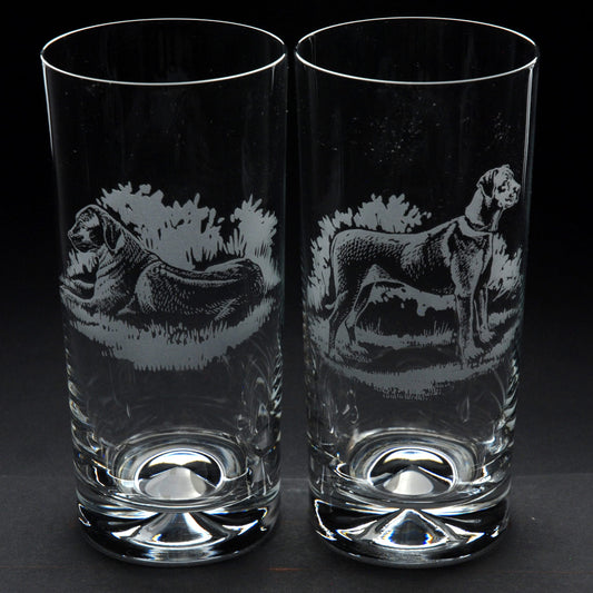 Rhodesian Ridgeback Dog Highball Glass - Hand Etched/Engraved Gift