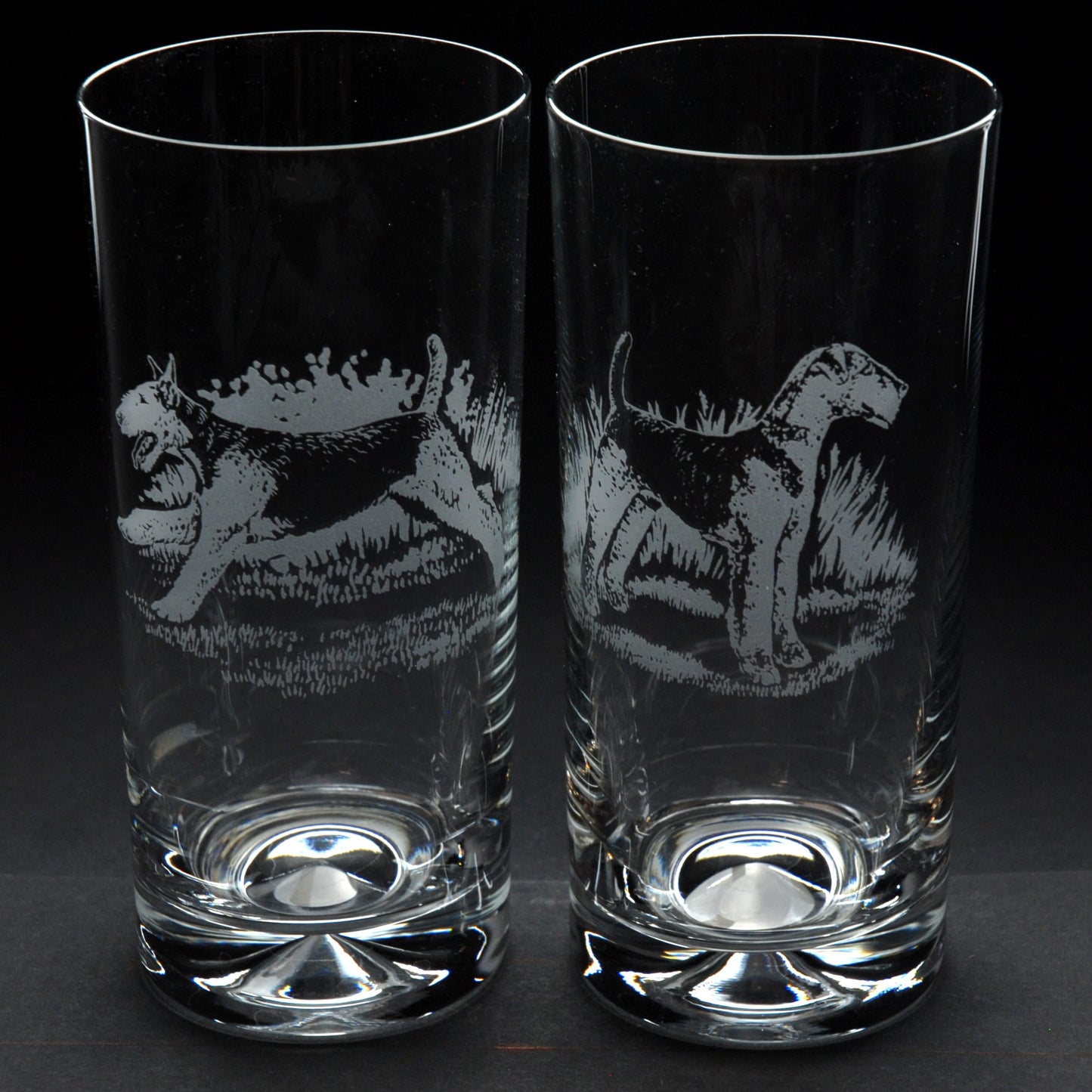 Airedale Terrier Dog Highball Glass - Hand Etched/Engraved Gift