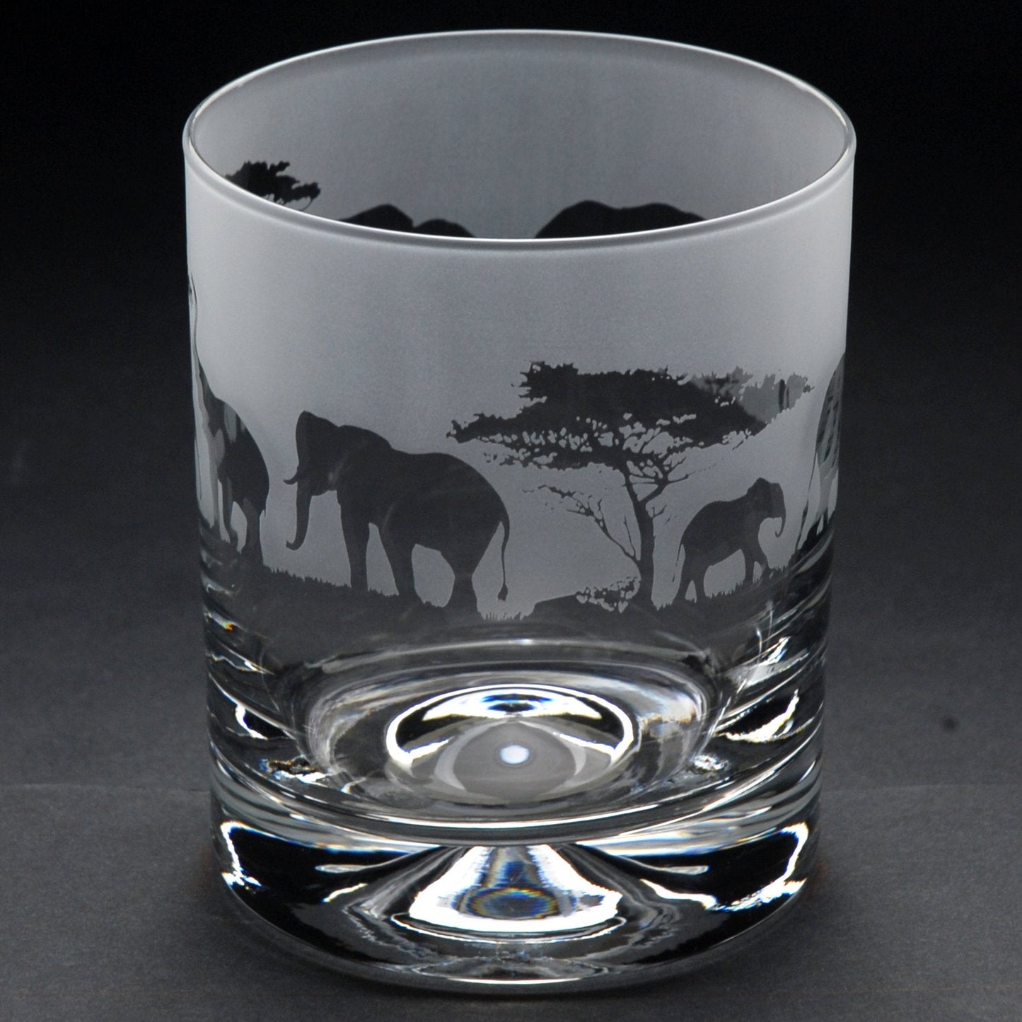 Elephant Whiskey Tumbler Glass - Hand Etched/Engraved Gift