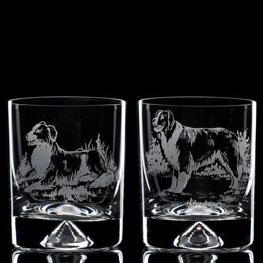 Border Collie Dog Whiskey Tumbler Glass - Hand Etched/Engraved Gift