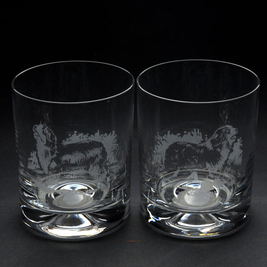 Bearded Collie Dog Whiskey Tumbler Glass - Hand Etched/Engraved Gift