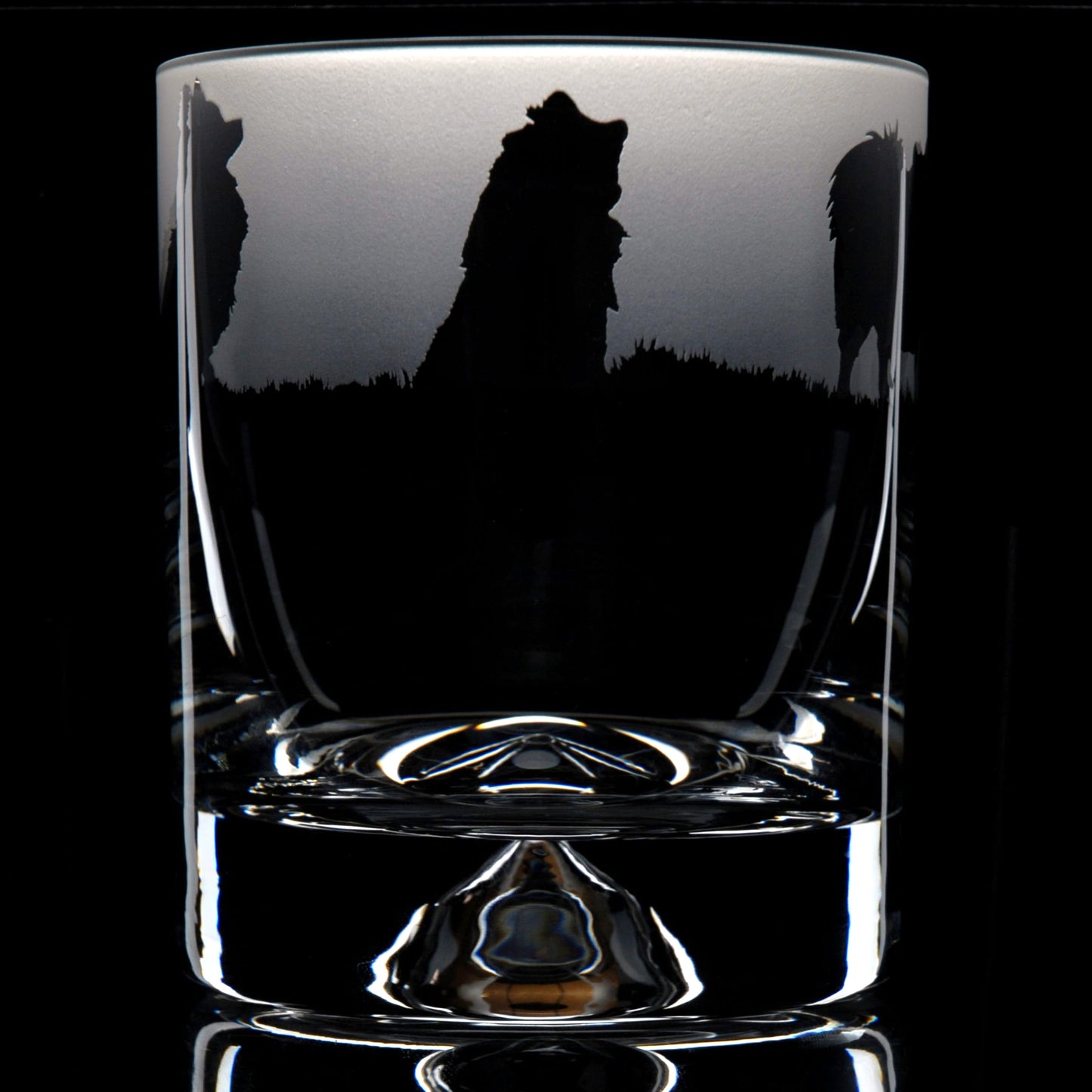 Pomeranian Dog Whiskey Tumbler Glass - Hand Etched/Engraved Gift