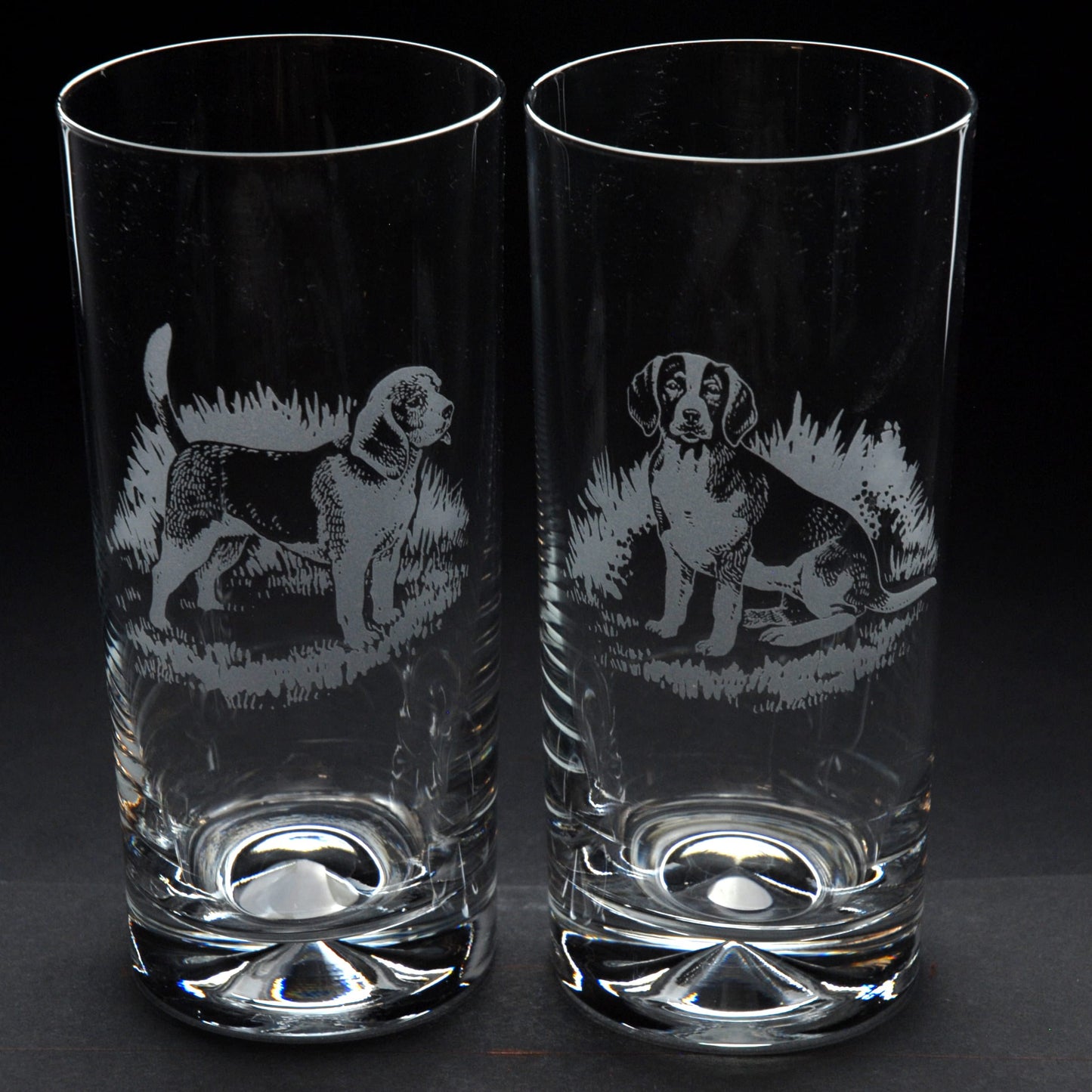 Beagle Dog Highball Glass - Hand Etched/Engraved Gift