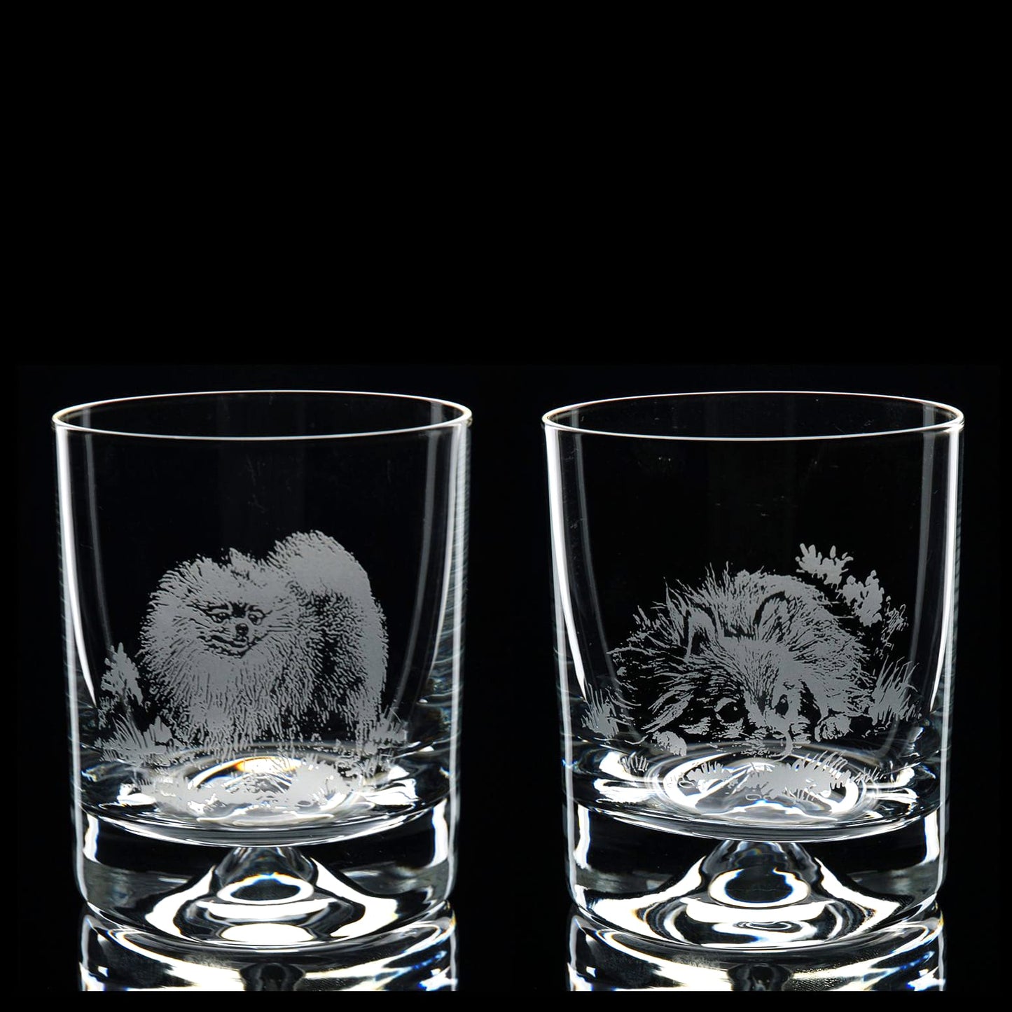 Pomeranian Dog Whiskey Tumbler Glass - Hand Etched/Engraved Gift