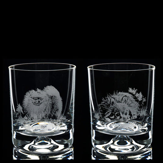 Pomeranian Dog Whiskey Tumbler Glass - Hand Etched/Engraved Gift