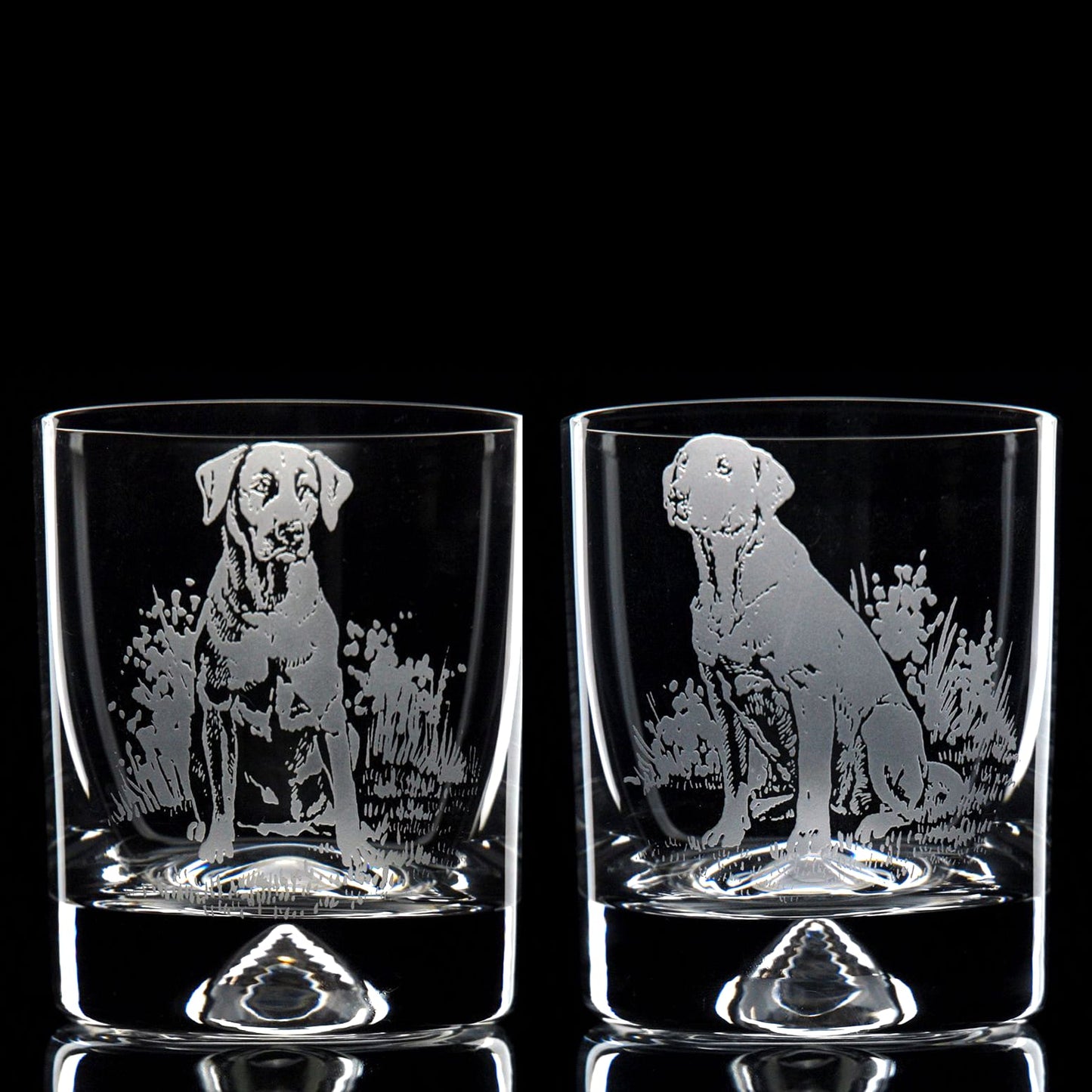 Labrador Dog Whiskey Tumbler Glass - Hand Etched/Engraved Gift