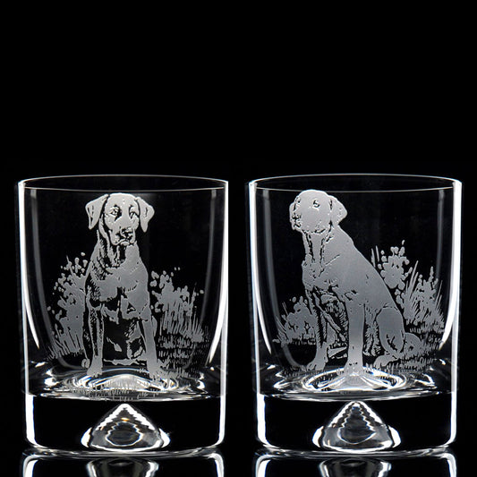 Labrador Dog Whiskey Tumbler Glass - Hand Etched/Engraved Gift