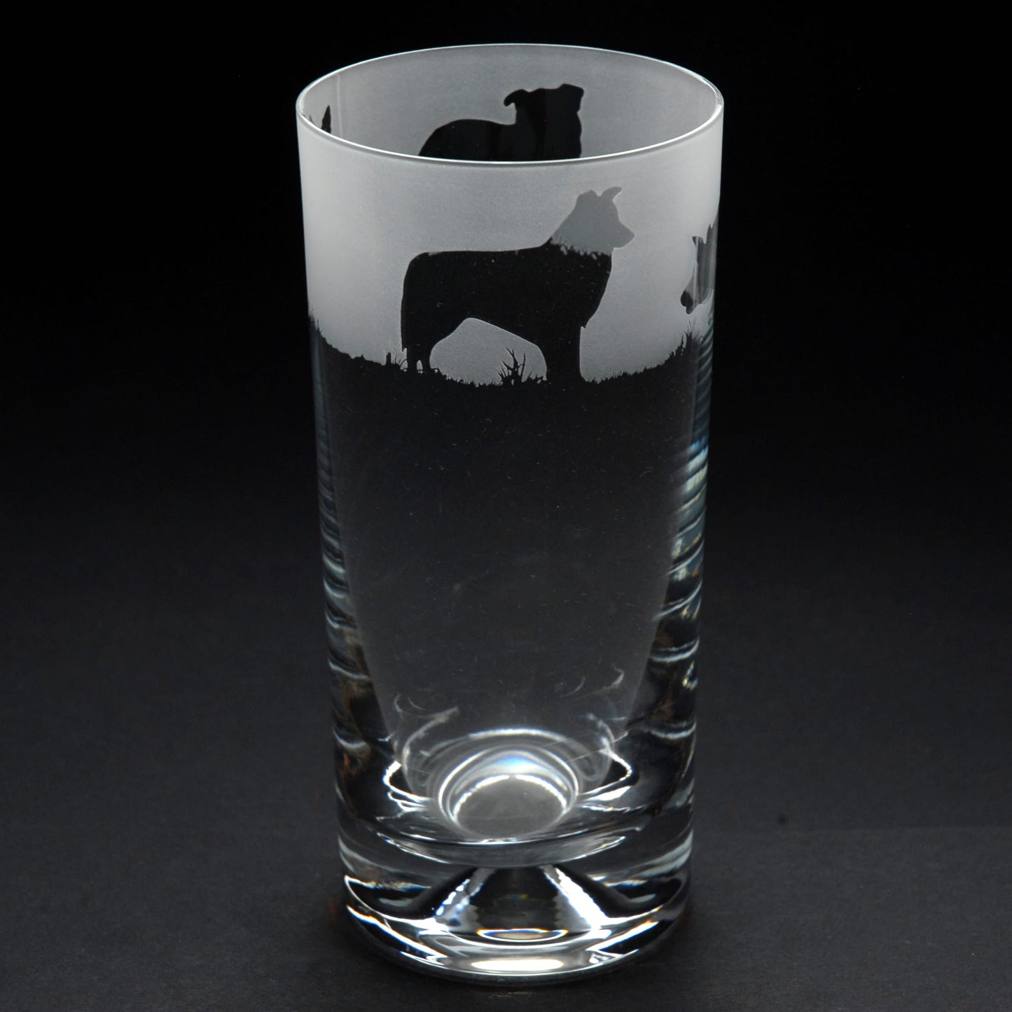 Border Collie Dog Highball Glass - Hand Etched/Engraved Gift