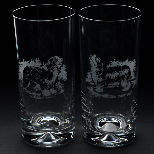 Bearded Collie Dog Highball Glass - Hand Etched/Engraved Gift