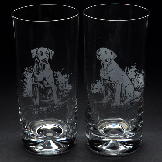 Labrador Dog Highball Glass - Hand Etched/Engraved Gift