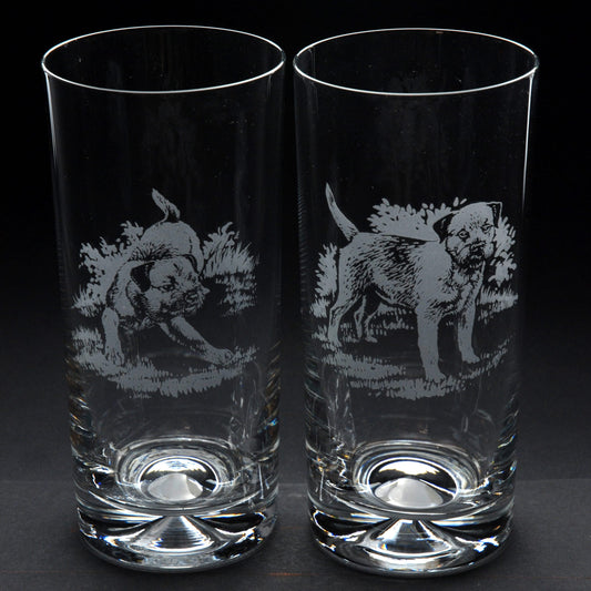Border Terrier Dog Highball Glass - Hand Etched/Engraved Gift