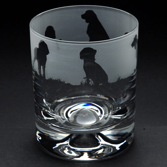 Springer Spaniel Dog Whiskey Tumbler Glass - Hand Etched/Engraved Gift