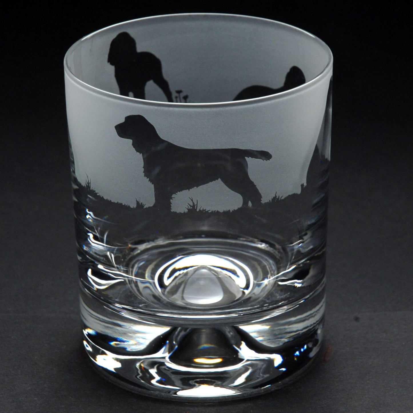 Springer Spaniel Dog Whiskey Tumbler Glass - Hand Etched/Engraved Gift