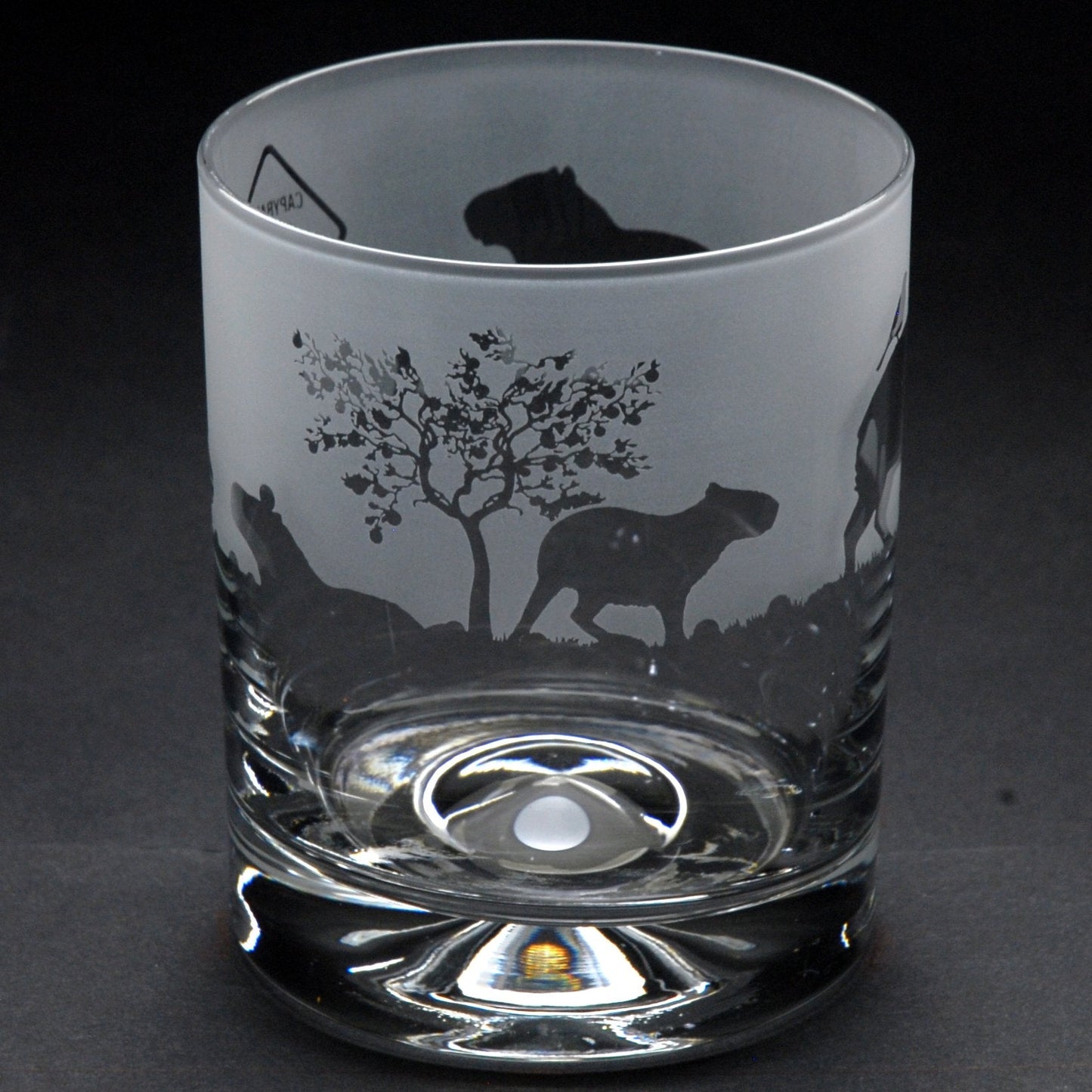 Capybara Whiskey Tumbler Glass - Hand Etched/Engraved Gift