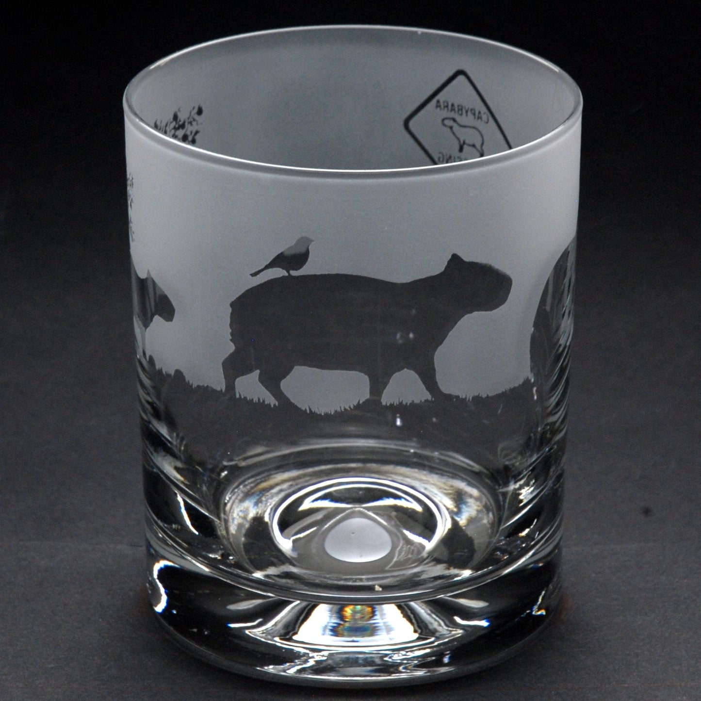 Capybara Whiskey Tumbler Glass - Hand Etched/Engraved Gift