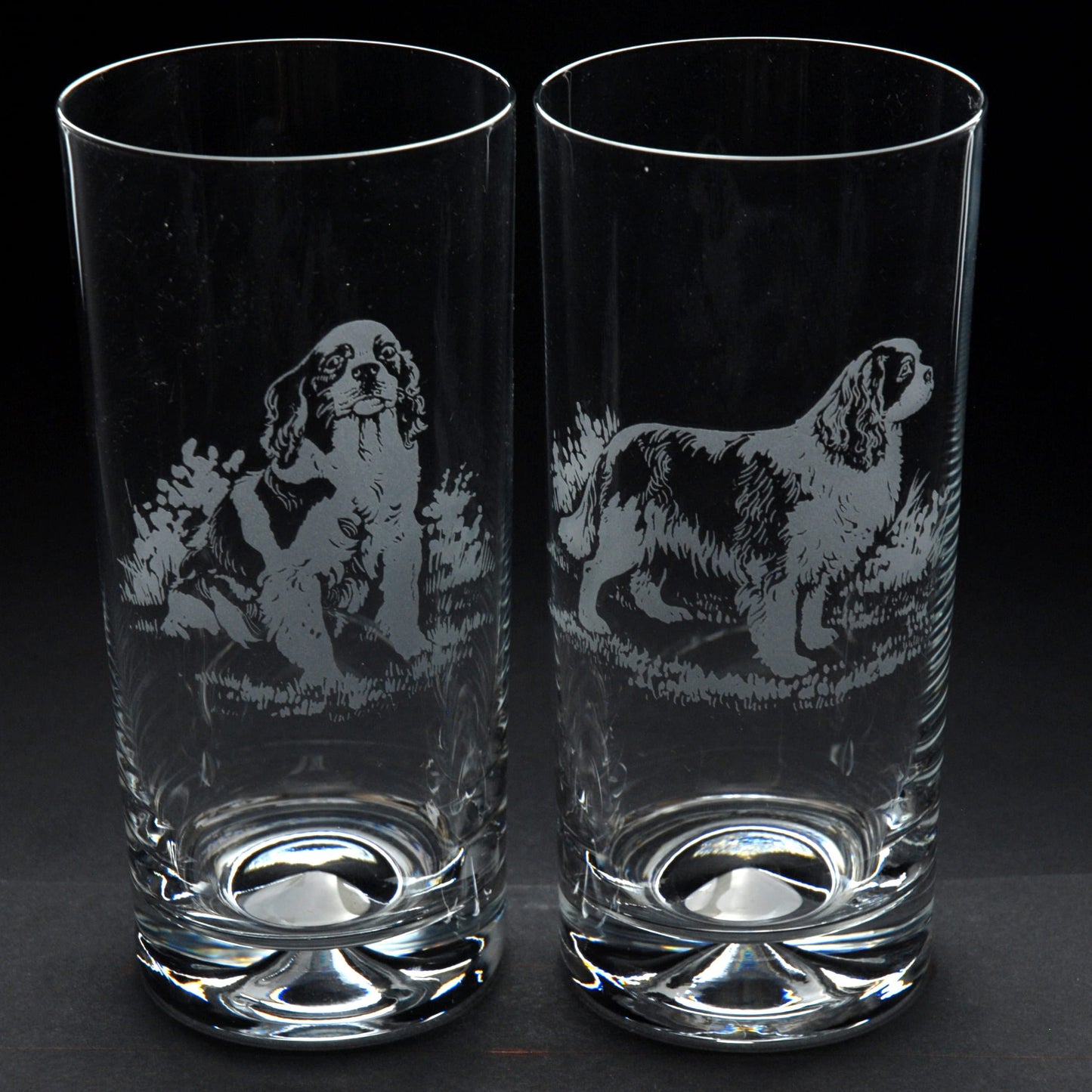 Cavalier King Charles Dog Highball Glass - Hand Etched/Engraved Gift