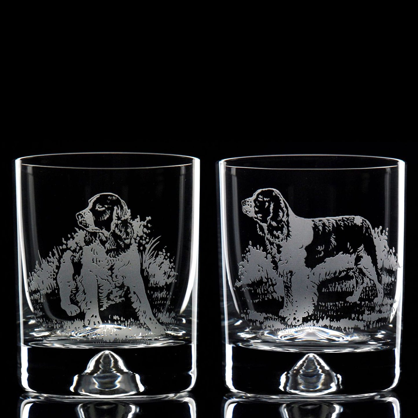 Springer Spaniel Dog Whiskey Tumbler Glass - Hand Etched/Engraved Gift