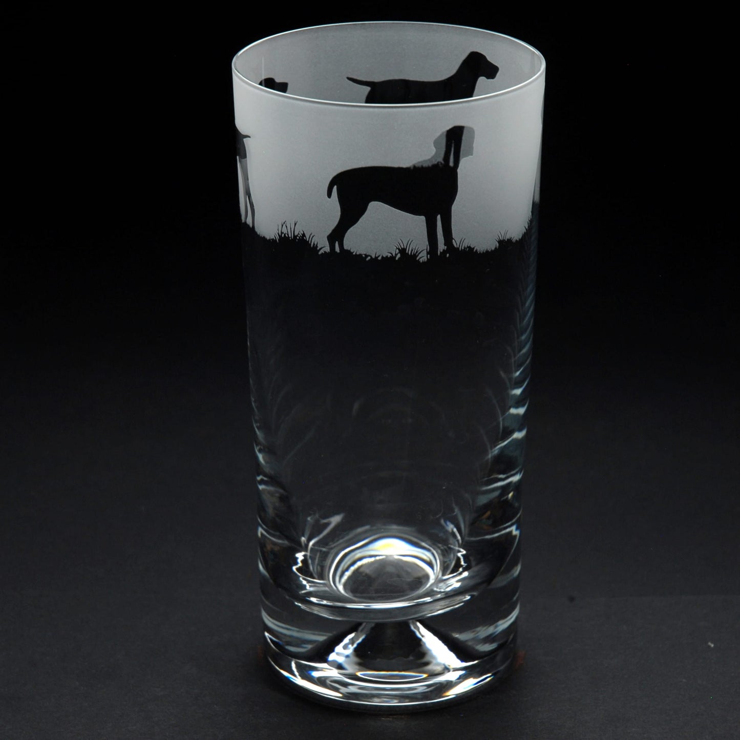 Pointer Dog Highball Glass - Hand Etched/Engraved Gift