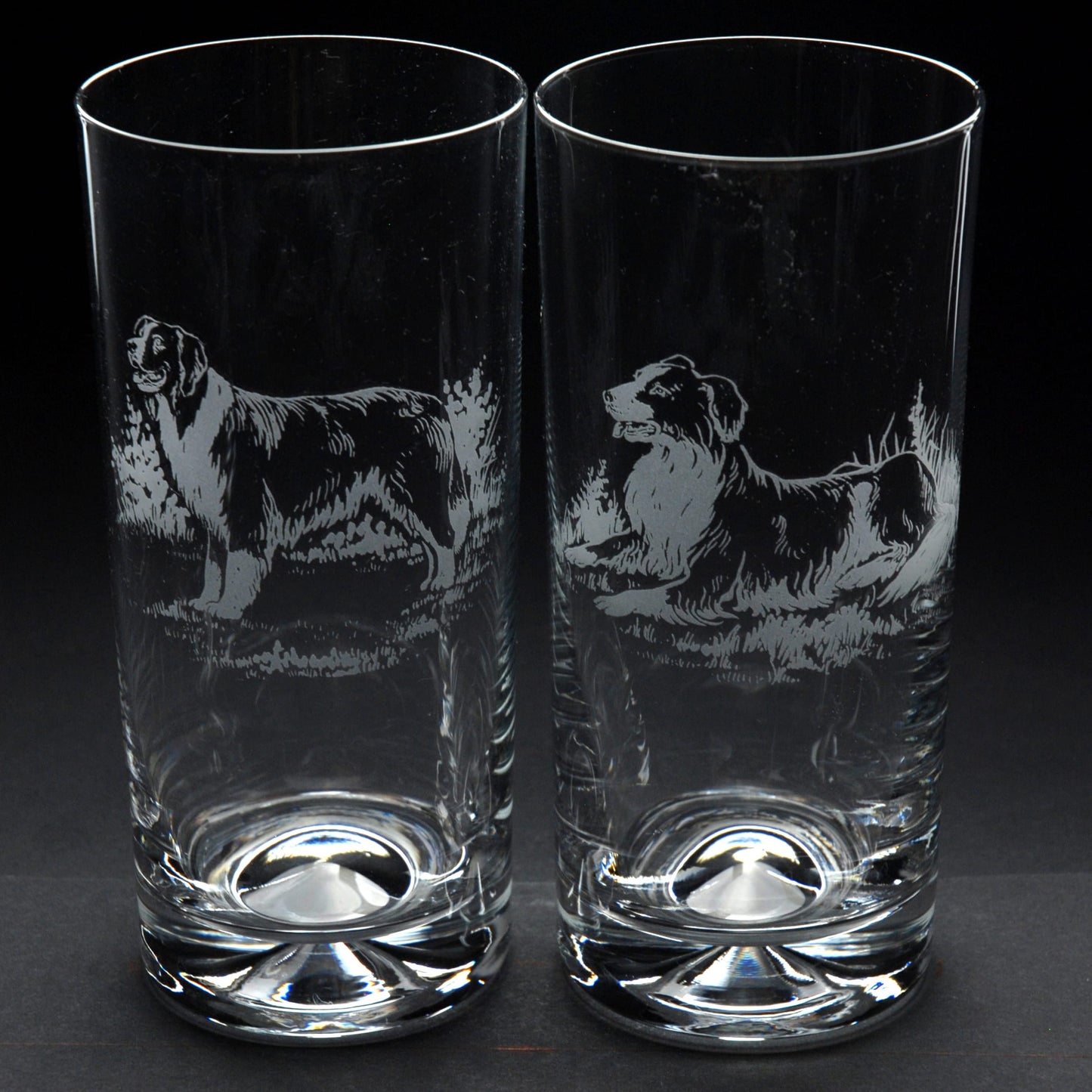 Border Collie Dog Highball Glass - Hand Etched/Engraved Gift