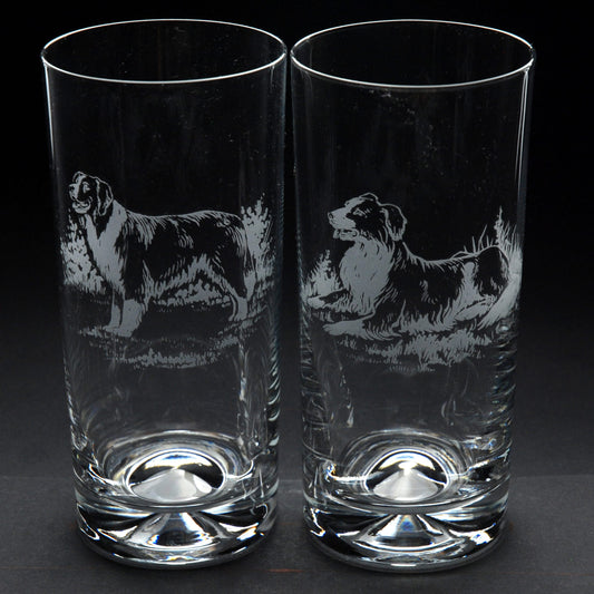 Border Collie Dog Highball Glass - Hand Etched/Engraved Gift