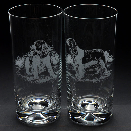 Springer Spaniel Dog Highball Glass - Hand Etched/Engraved Gift