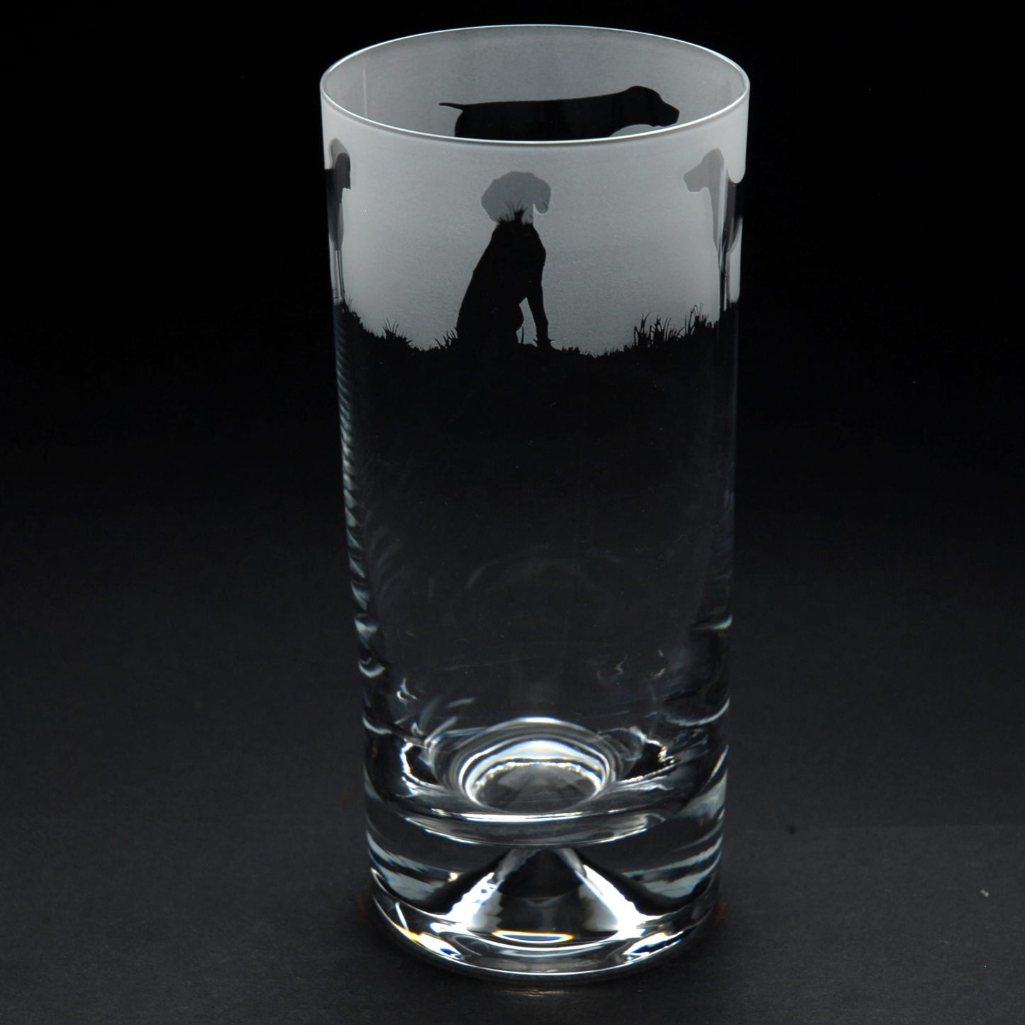 Pointer Dog Highball Glass - Hand Etched/Engraved Gift