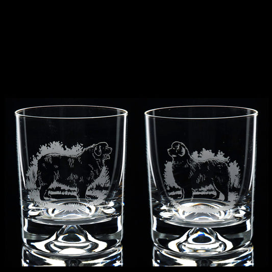 Newfoundland Dog Whiskey Tumbler Glass - Hand Etched/Engraved Gift