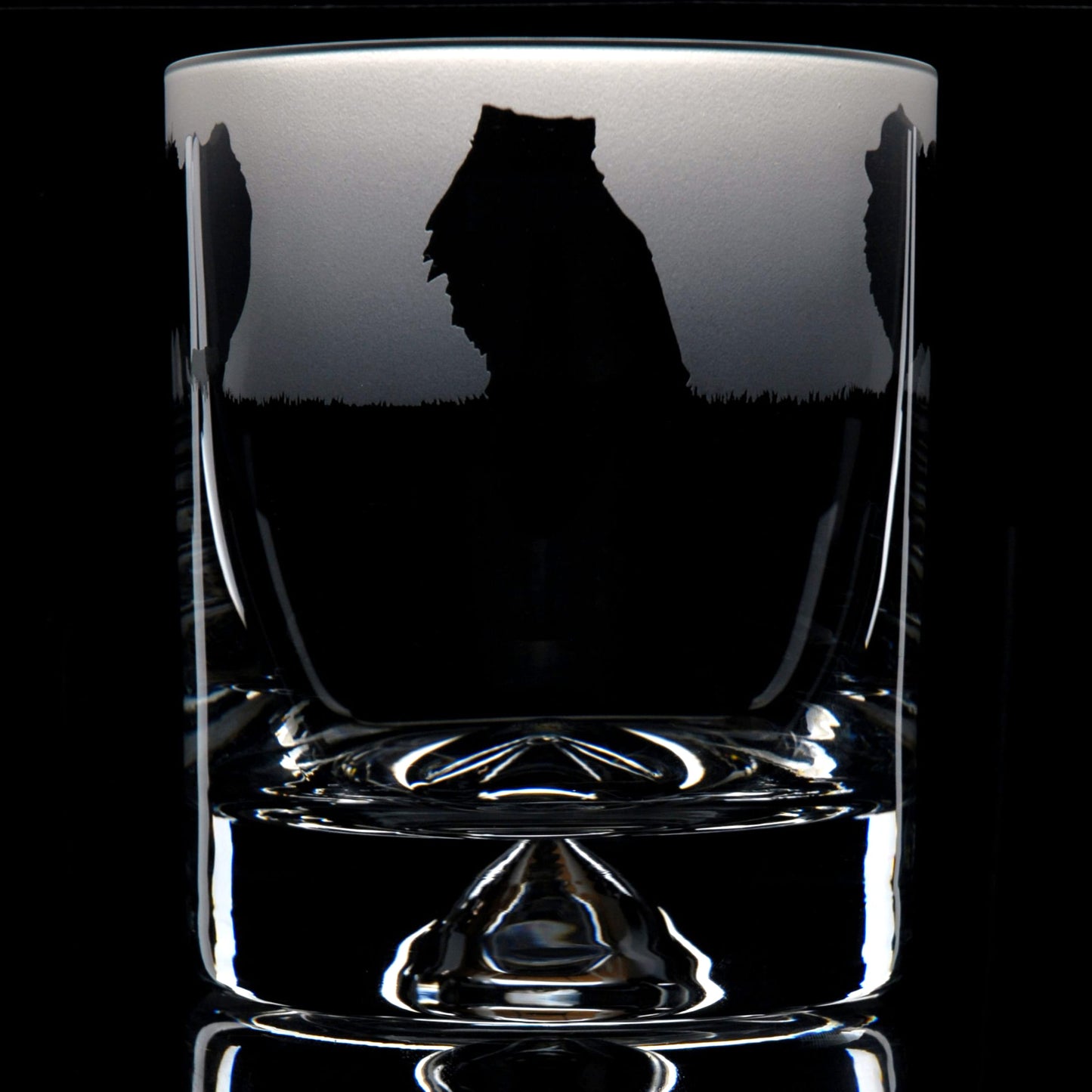 Pomeranian Dog Whiskey Tumbler Glass - Hand Etched/Engraved Gift