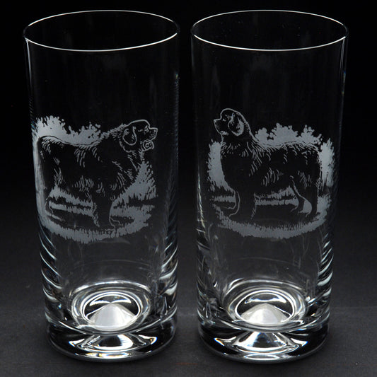 Newfoundland Dog Highball Glass - Hand Etched/Engraved Gift