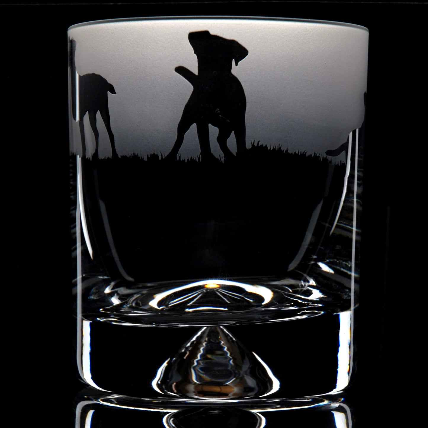 Jack Russell Dog Whiskey Tumbler Glass - Hand Etched/Engraved Gift